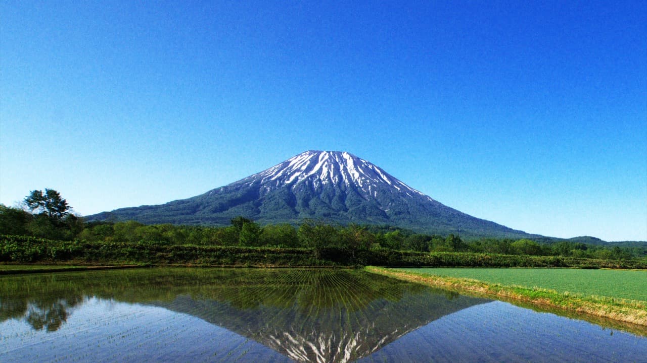 13-Mar-09-2025-12-45-28-8957-AM