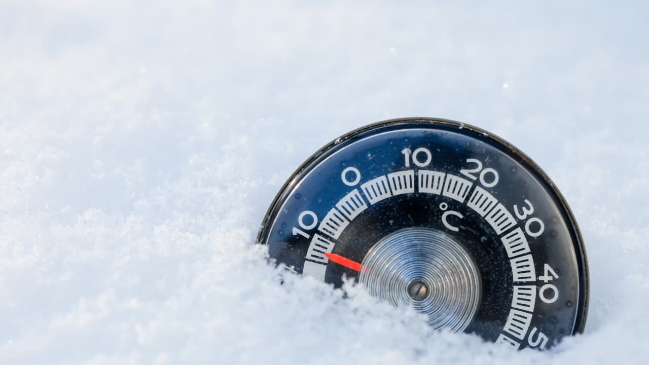 弁天堂 (7)-Jan-16-2026-01-06-09-8000-PM