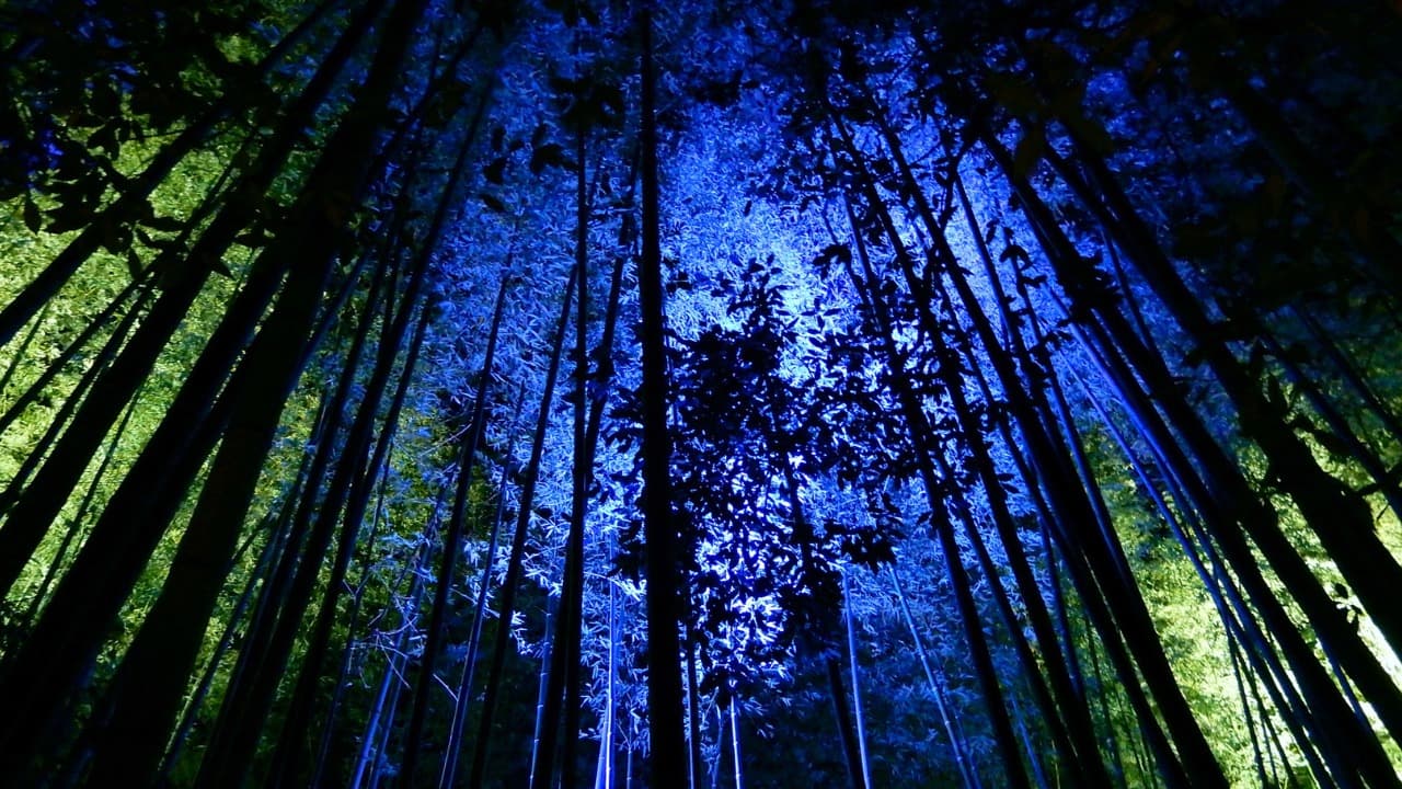 弁天堂 (36)-Jan-19-2025-12-31-00-3936-AM