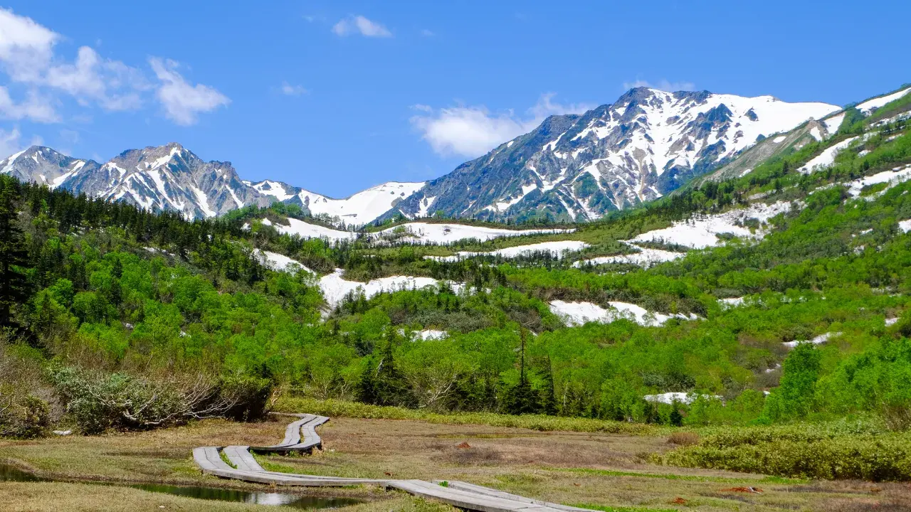 4-Jun-08-2026-12-39-12-1405-AM