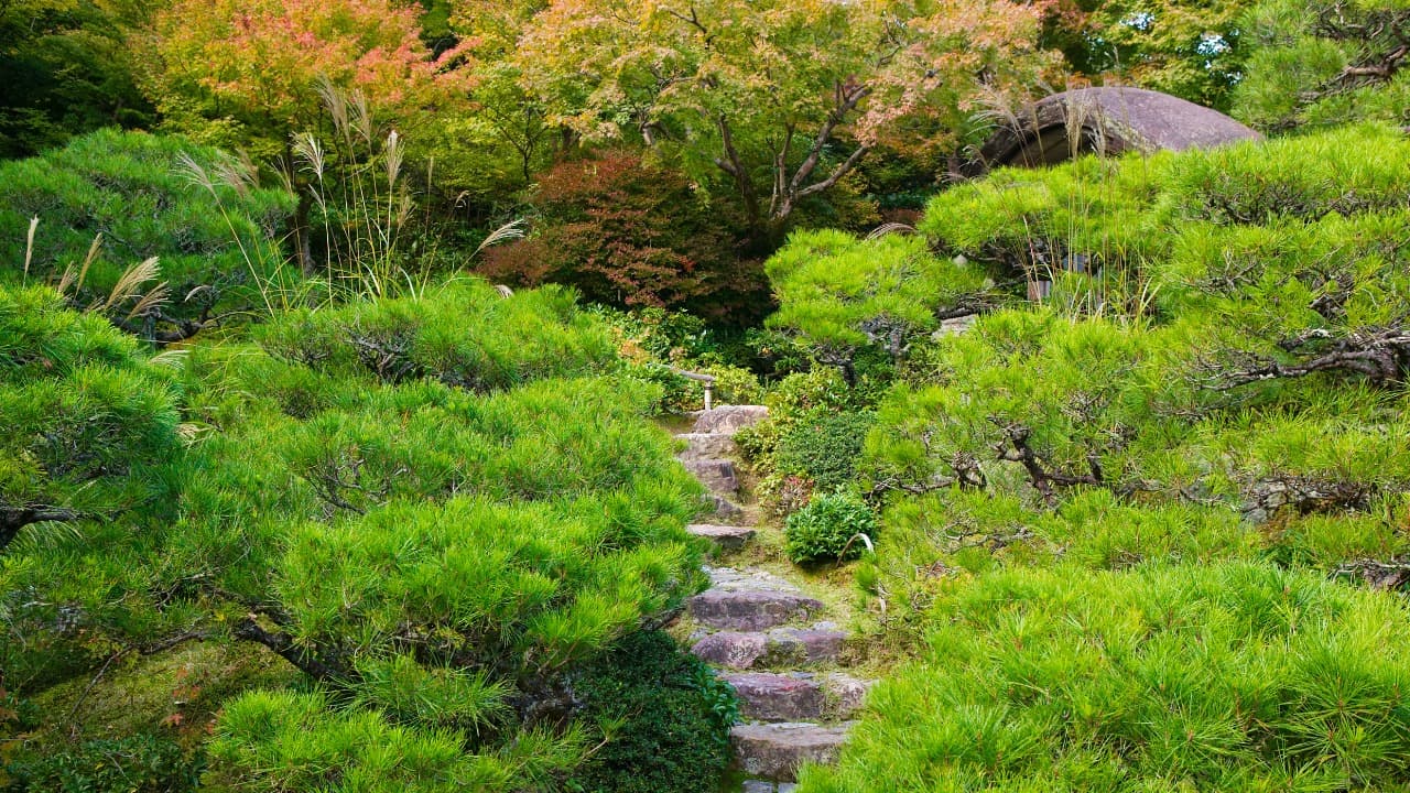 弁天堂 (23)-Dec-08-2024-01-36-04-5683-PM