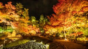Hōgon-in Temple Night Illumination: History & Must-See Highlights
