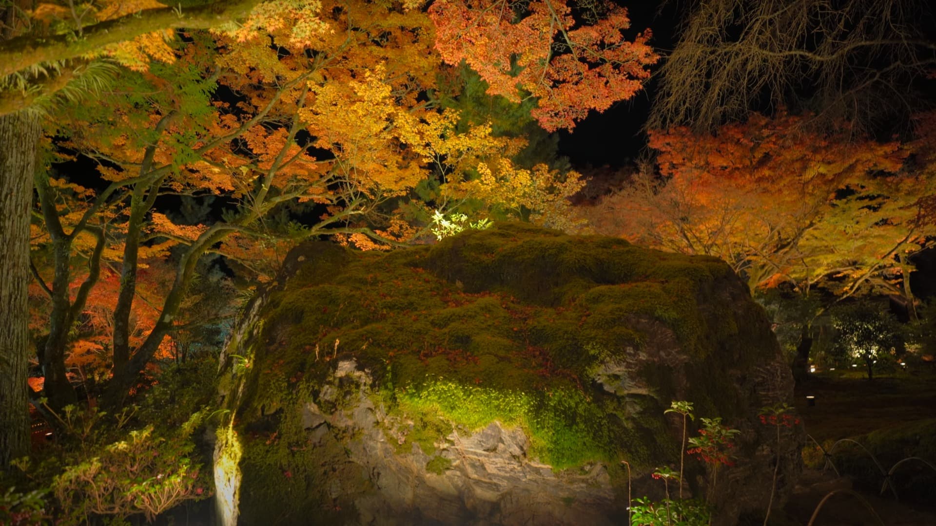 7-Feb-15-2025-05-28-18-4688-PM