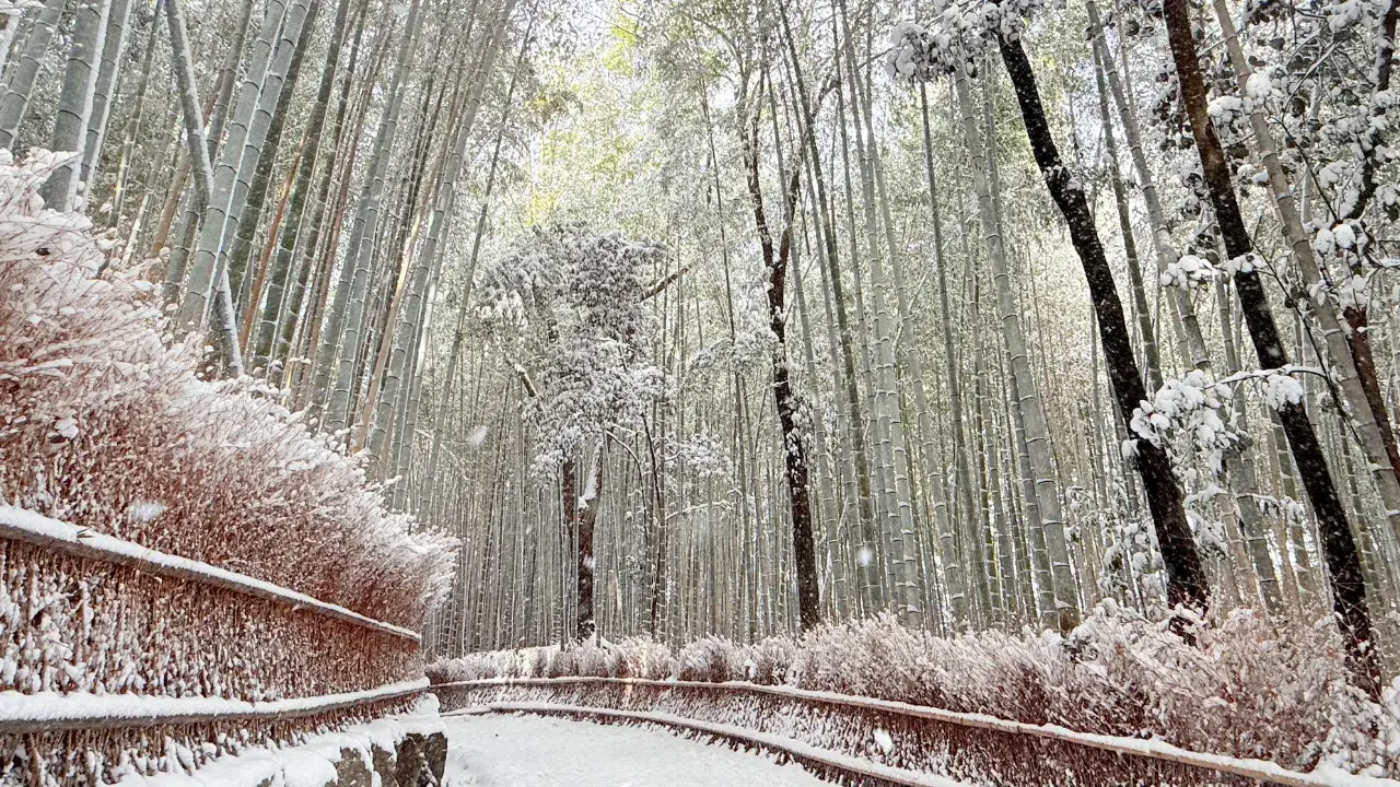 10-Apr-20-2026-03-31-36-8663-PM