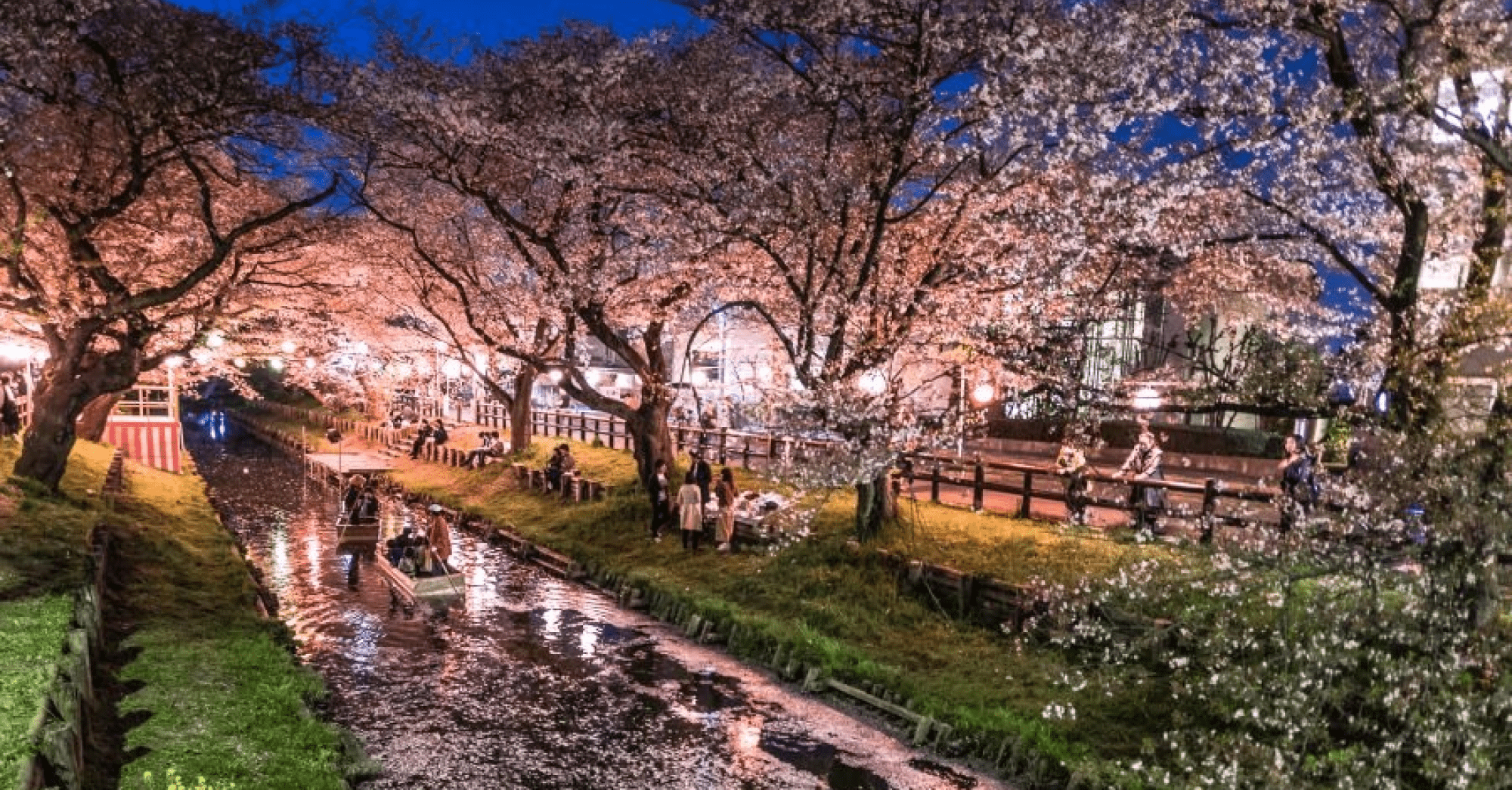 6d090849b2836eed0978de527ce118e096c7ece2 (1)