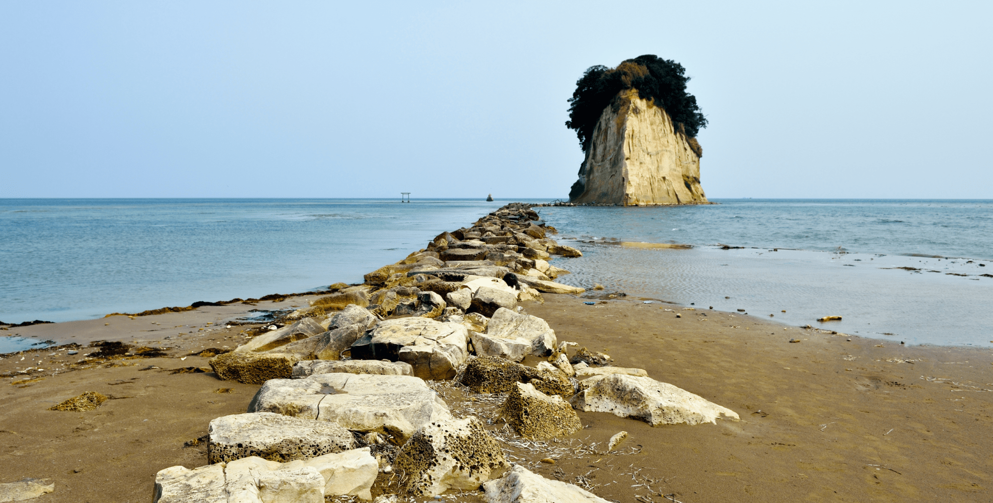 名称未設定のデザイン (1)