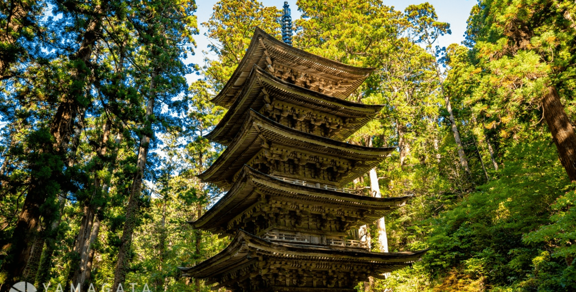 68cd99fb1bd13c8d2dc60950d7b1a015