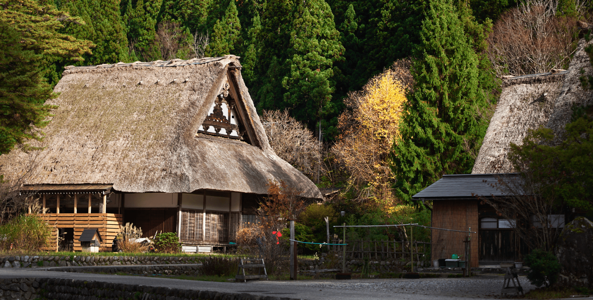 AdobeStock_400562768