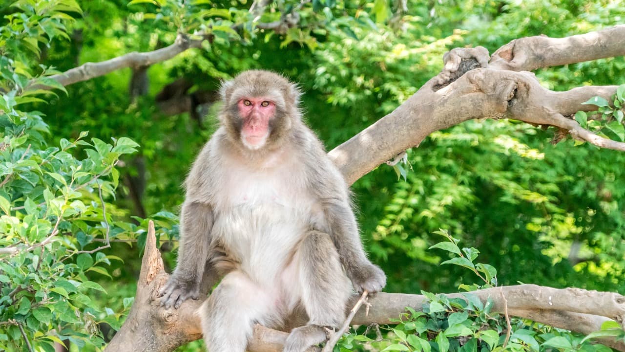 弁天堂 (22)-Dec-08-2024-01-36-04-2399-PM