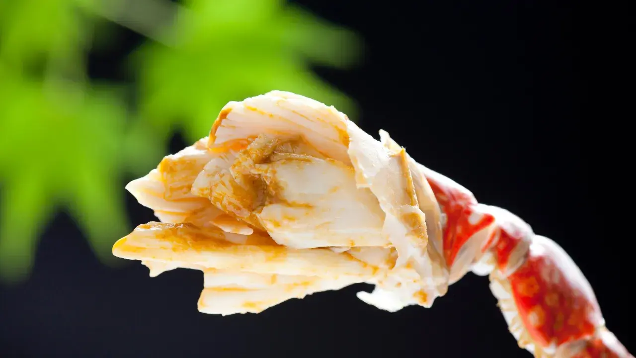 2-Apr-07-2025-01-14-04-3303-PM