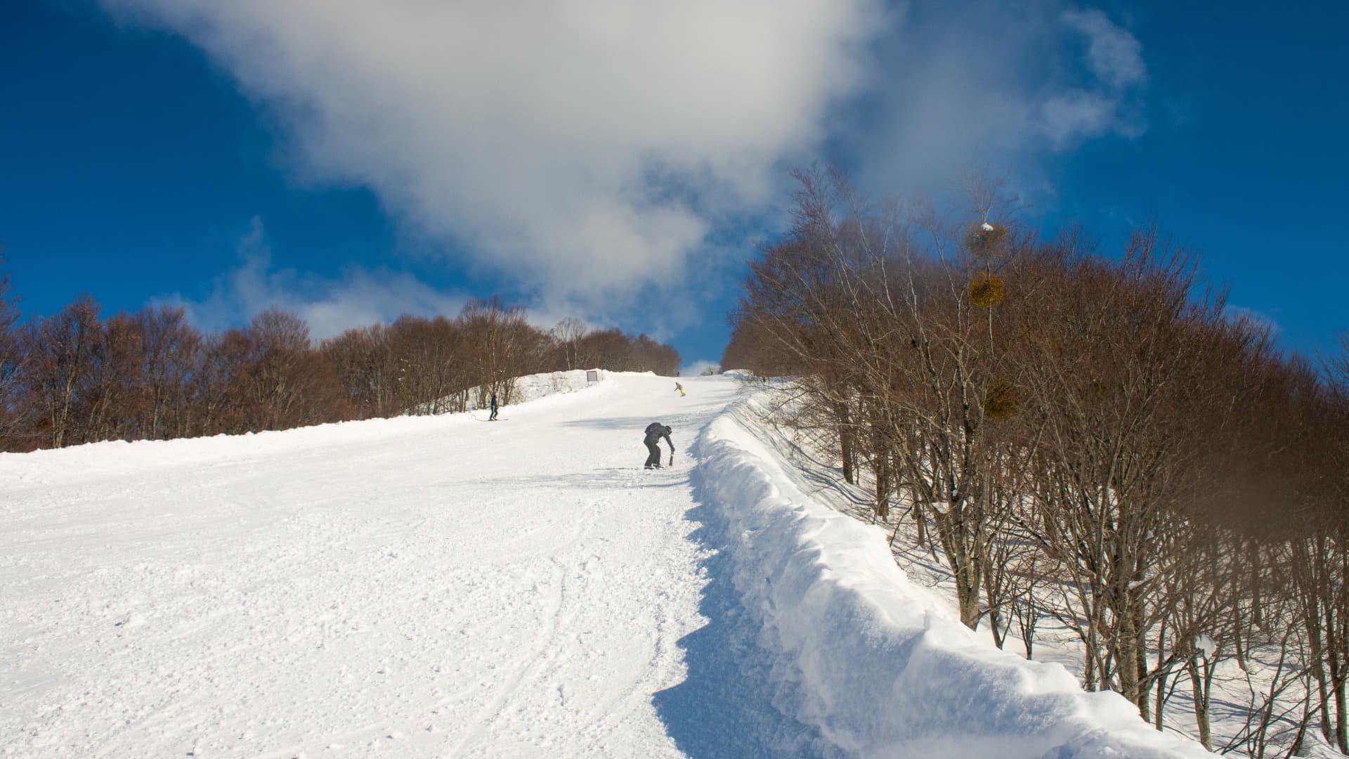 Nozawa Onsen Ski Resort