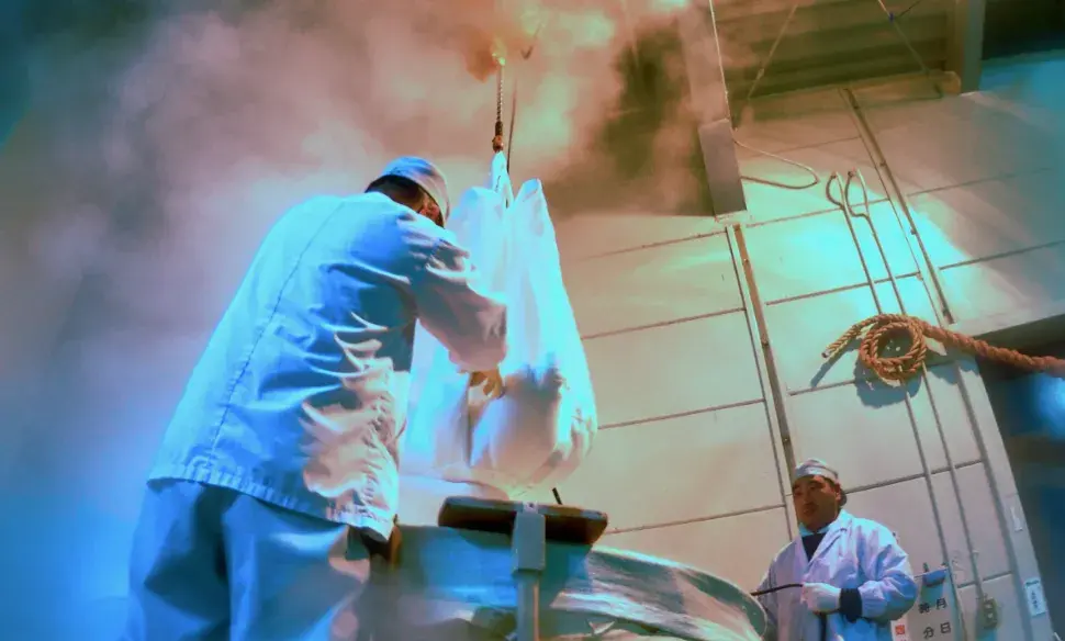 スクリーンショット 2025-06-01 0.06.35