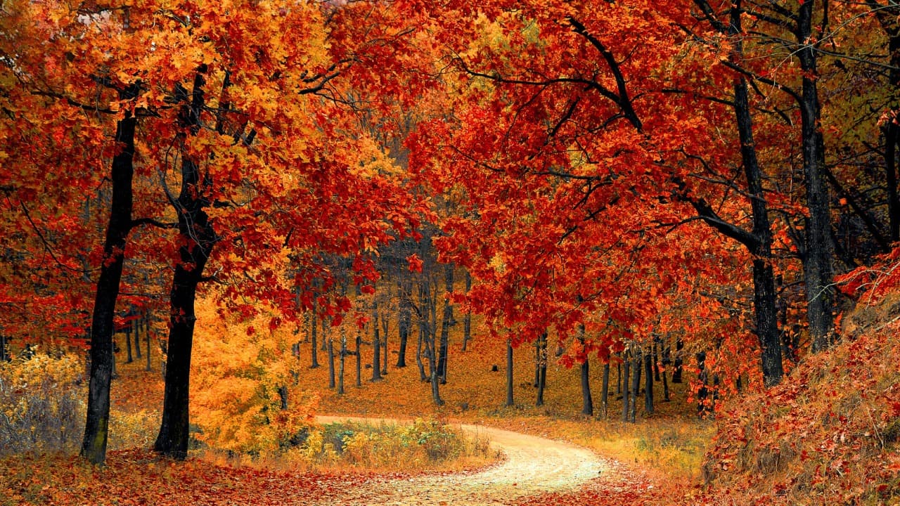 弁天堂 (6)-Jan-13-2026-10-20-28-4195-PM