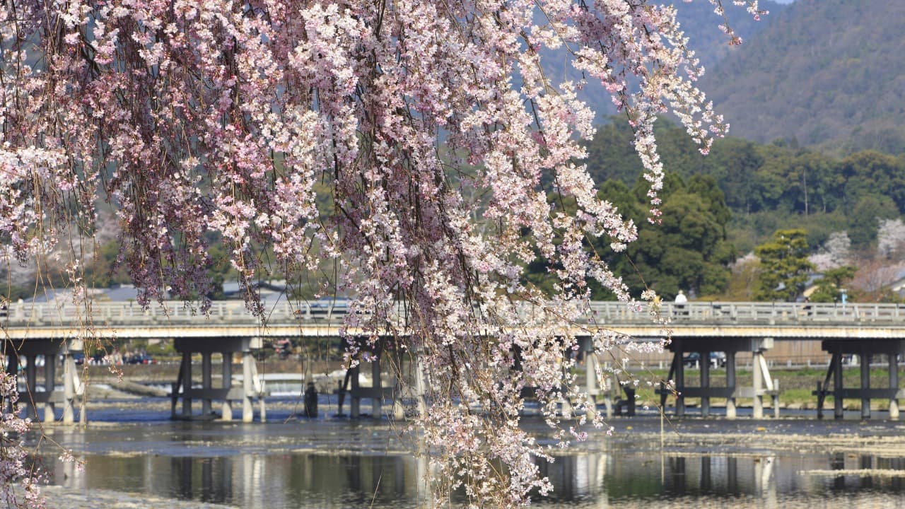 弁天堂 (25)-Jan-18-2026-12-48-41-9260-PM