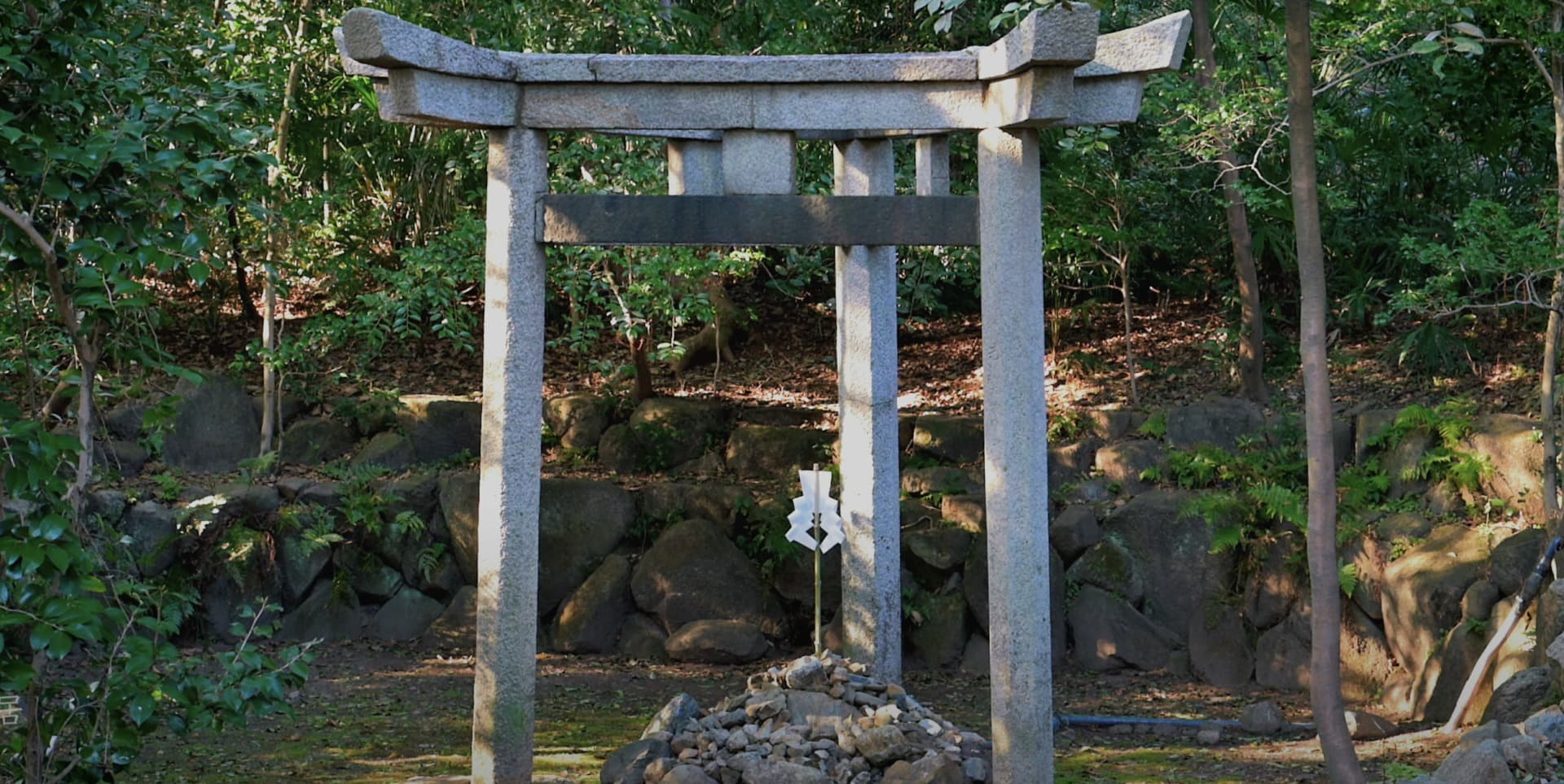 スクリーンショット 2026-01-19 17.49.01 (1)