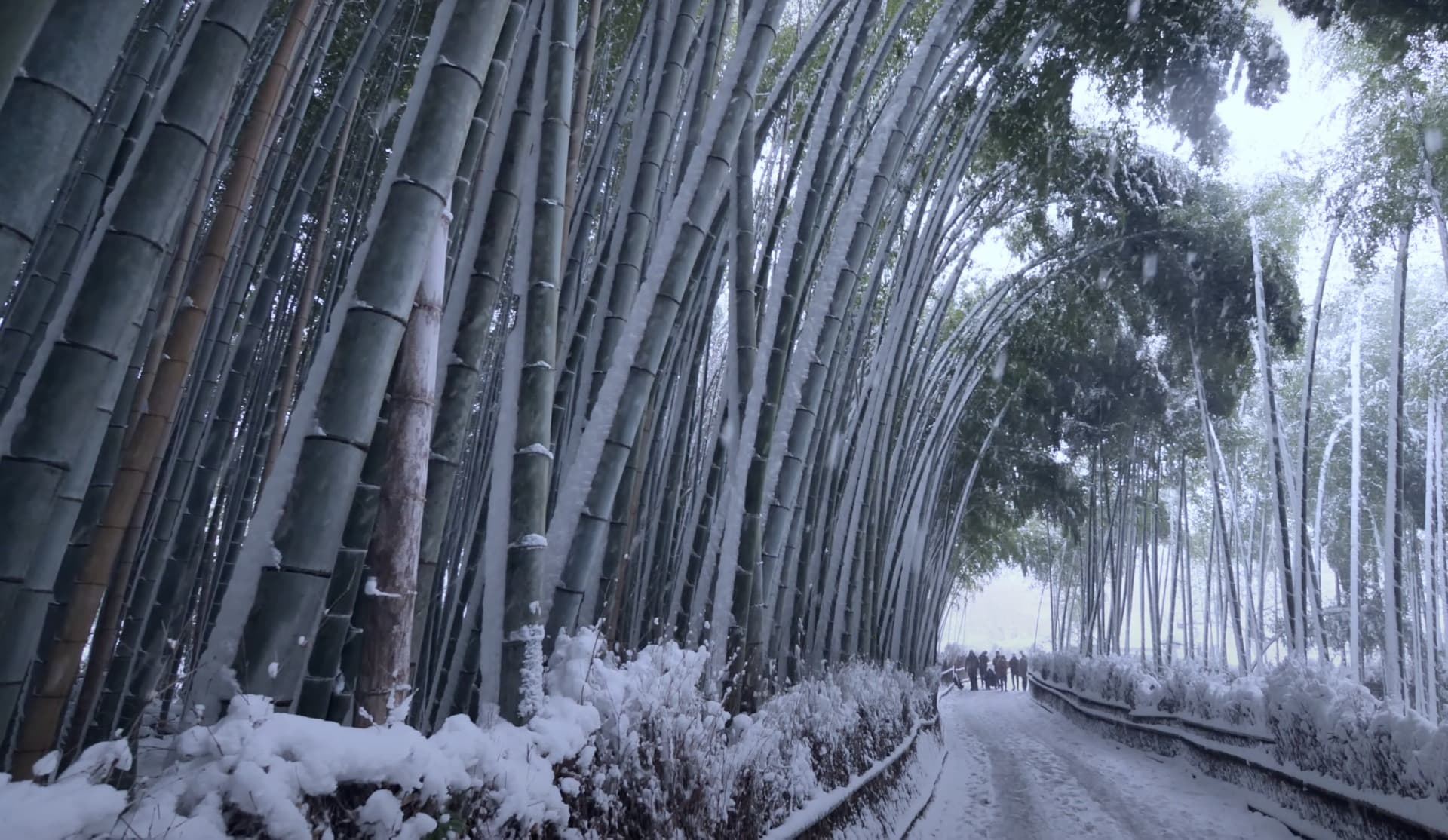 スクリーンショット 2026-01-16 8.50.35