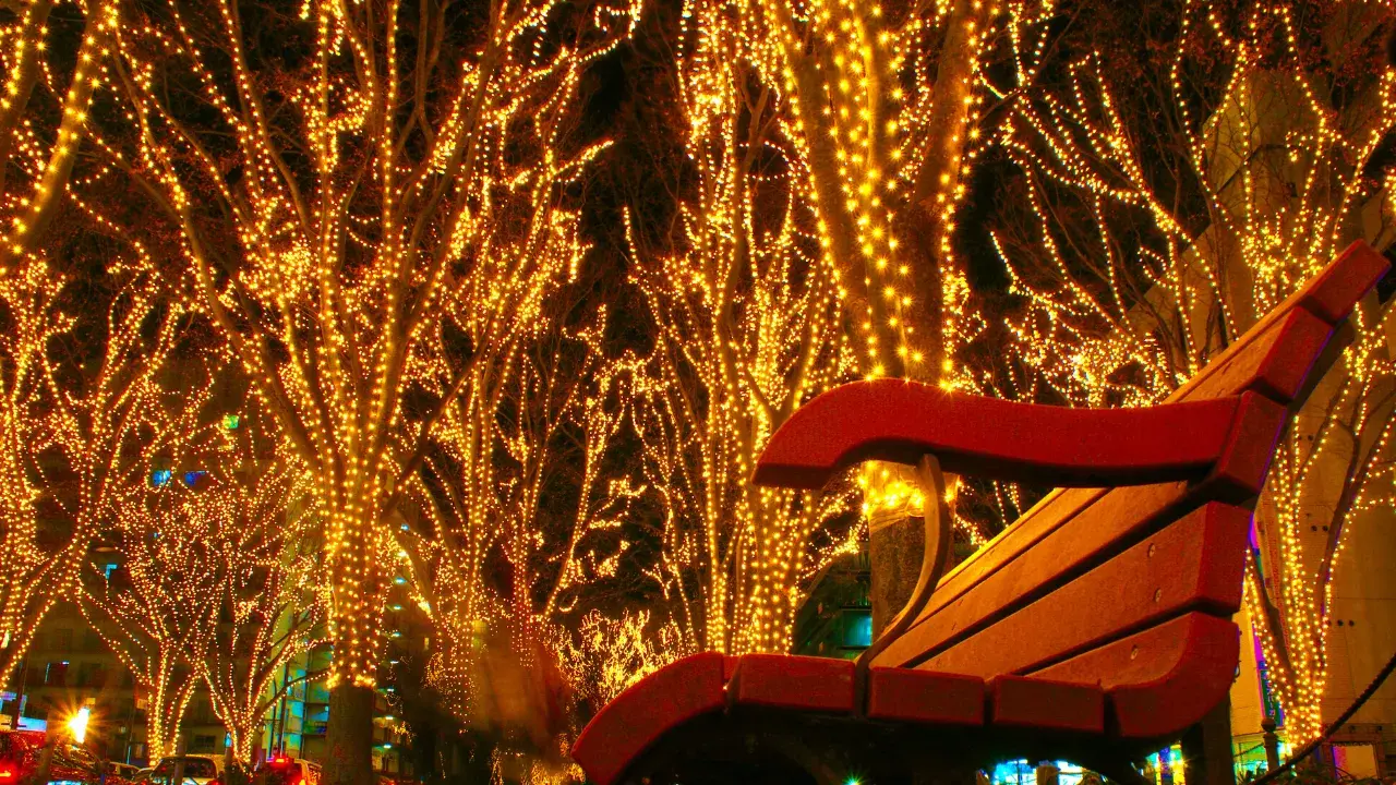 4-Jun-15-2025-04-31-42-3325-AM