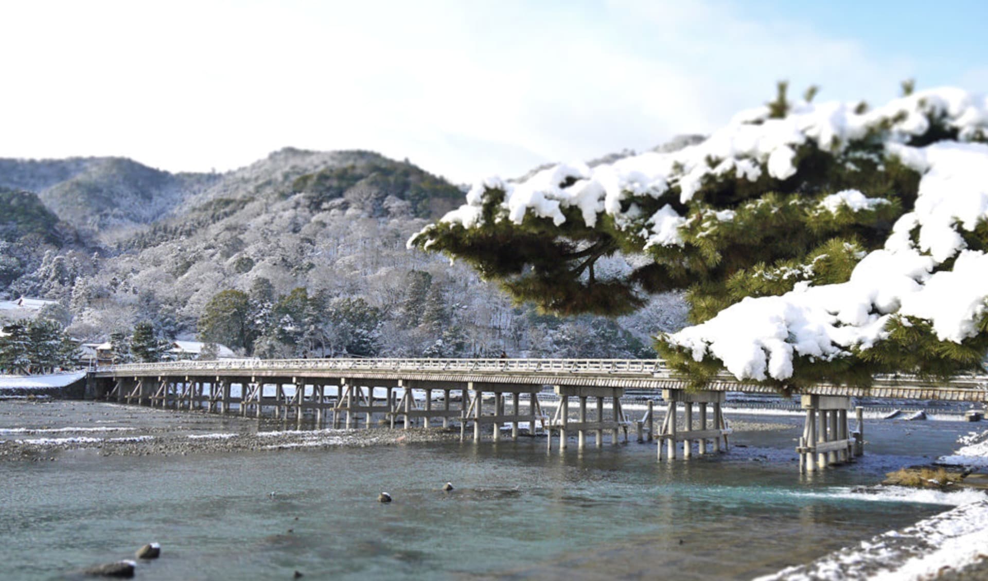 スクリーンショット 2026-01-16 8.54.59