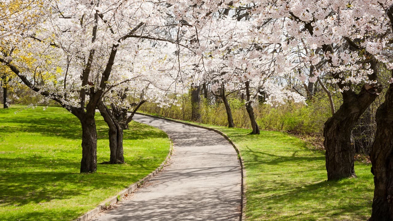 弁天堂 (34)-Jan-11-2025-04-58-54-1731-PM