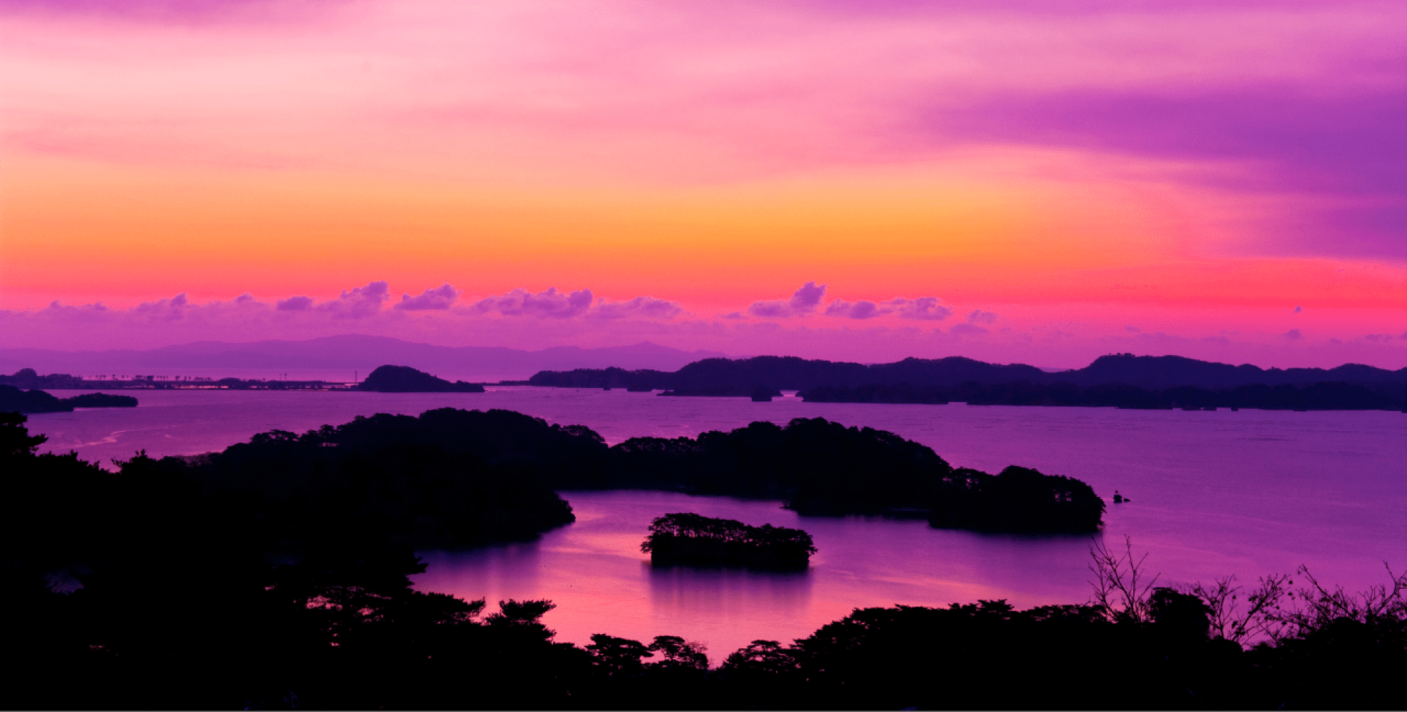 名称未設定のデザイン (17) (1)