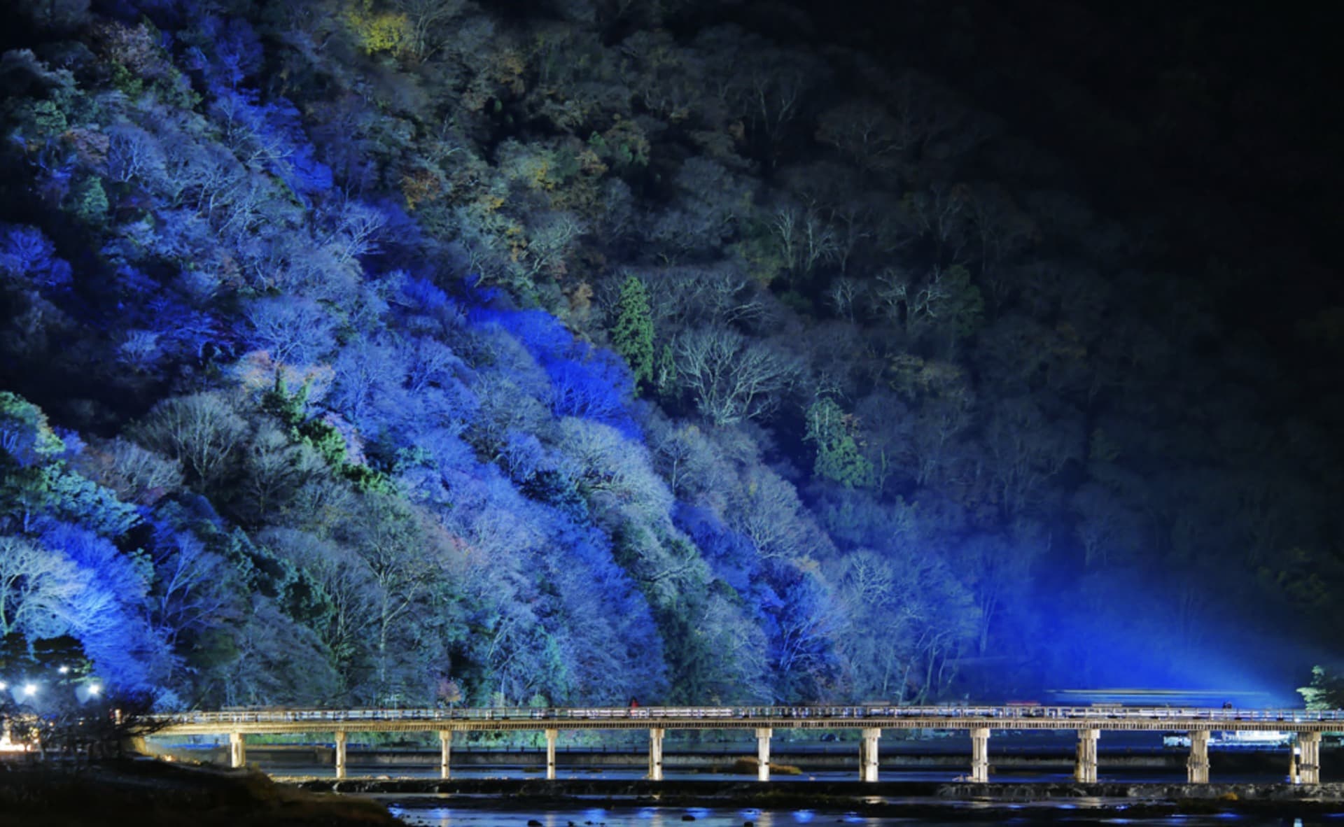 スクリーンショット 2026-01-16 8.55.20