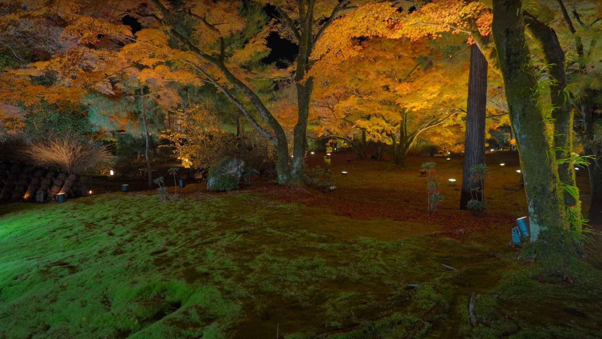 6-Feb-15-2025-05-28-18-4970-PM