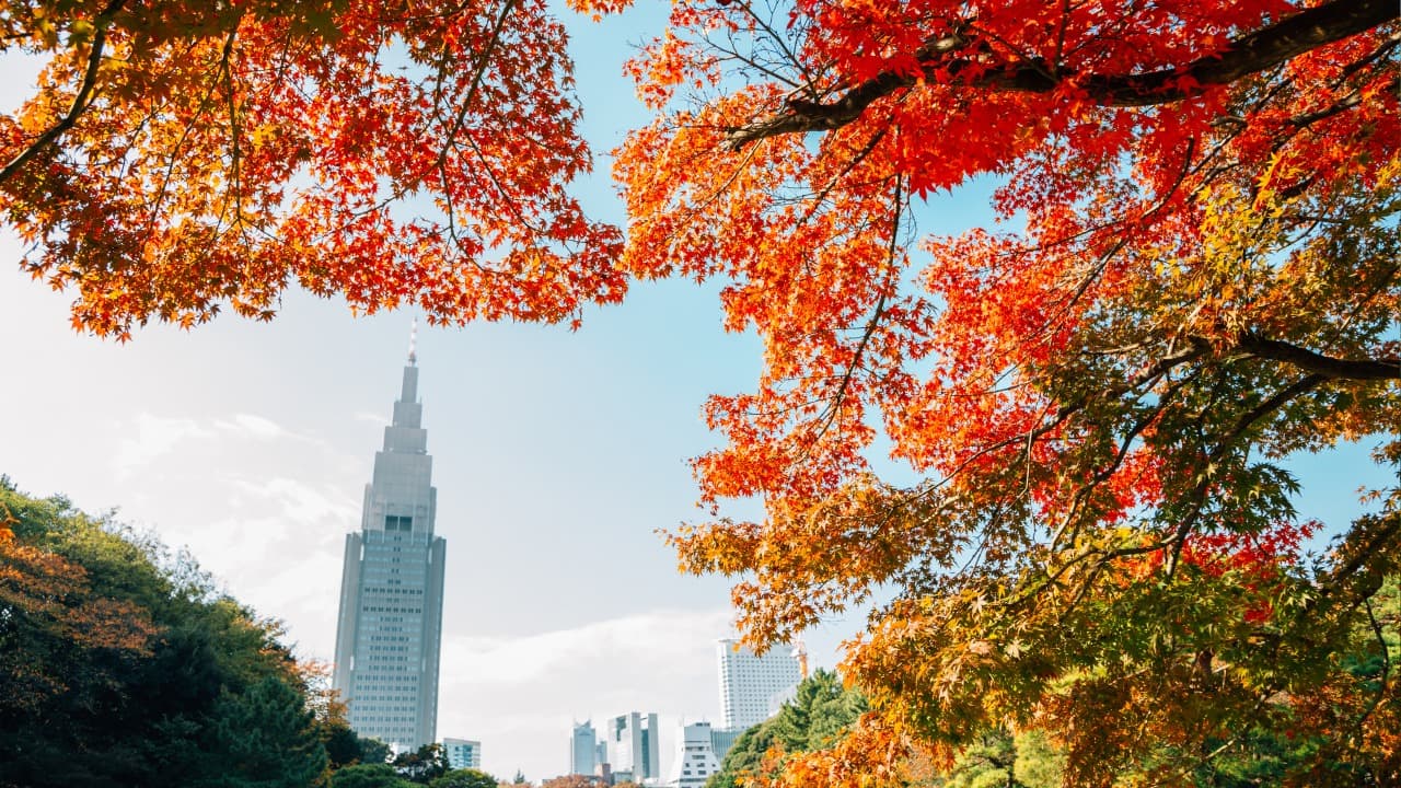 弁天堂 (8)-Aug-03-2024-02-44-15-4967-AM