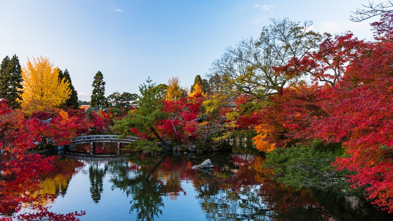 弁天堂 (15)-Jan-13-2026-10-22-59-1728-PM