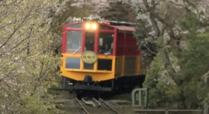 사가노 토로코 열차: 역사와 개요 상세 해설