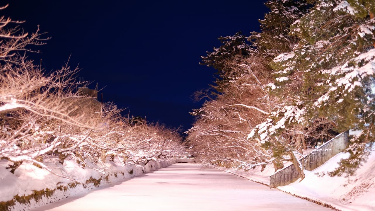 弁天堂 (26)-Jan-13-2026-10-49-57-7924-PM