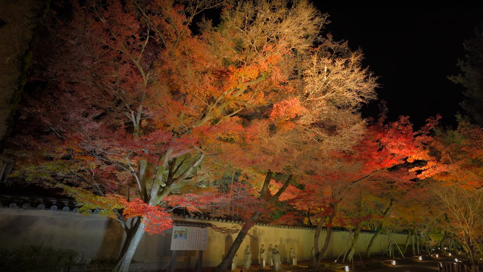 1-Feb-15-2025-05-28-18-5779-PM