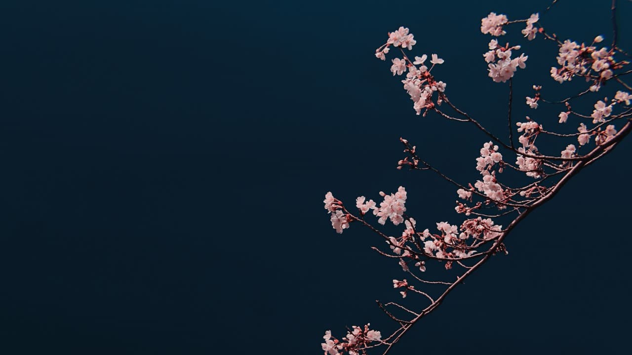 弁天堂 (20)-Jan-11-2025-03-57-06-8202-PM