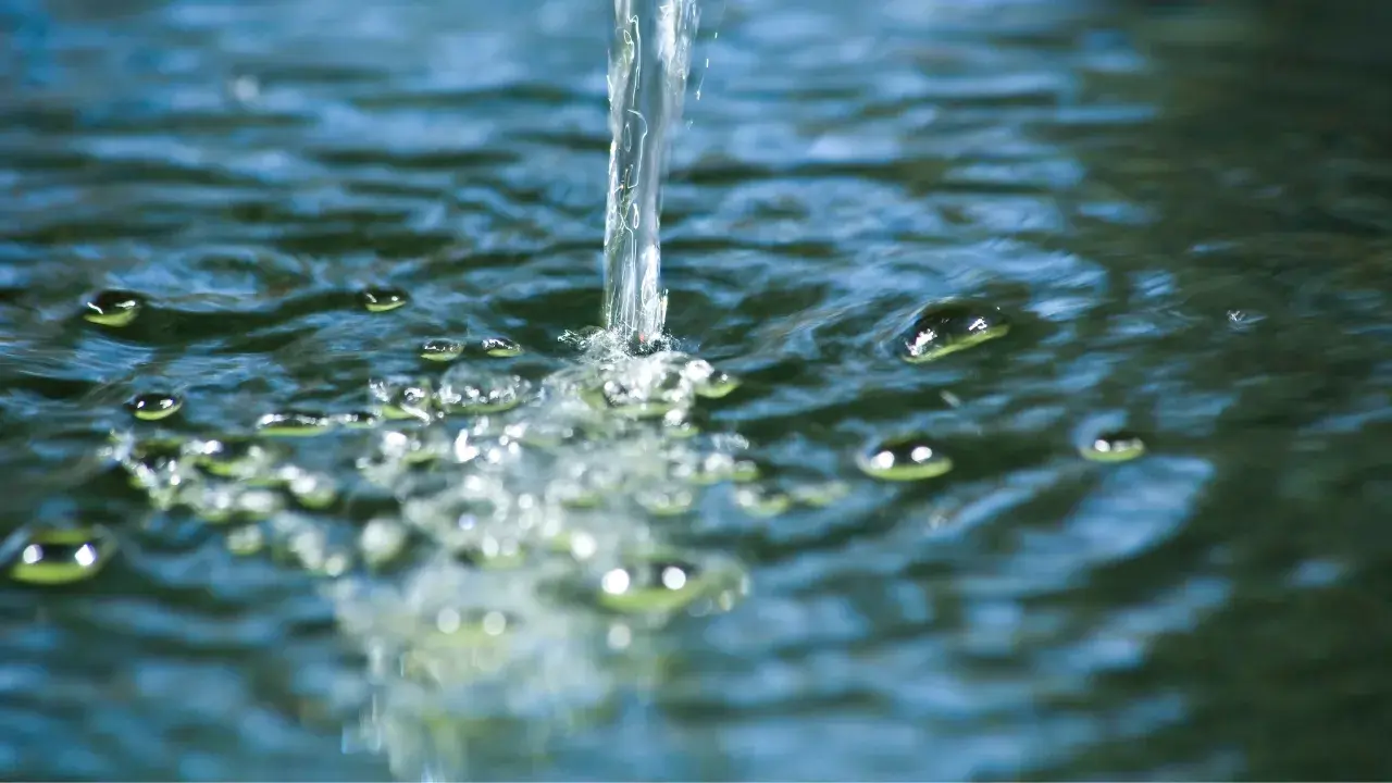 5-Jun-29-2025-12-19-46-1899-AM