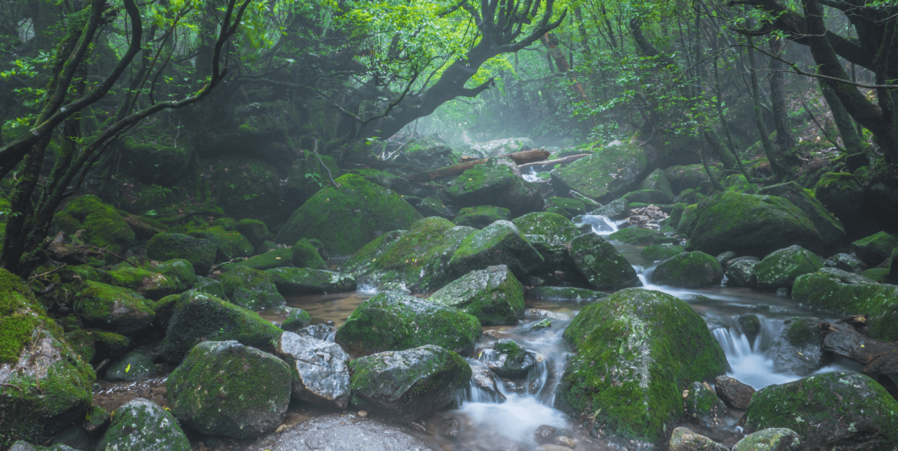 AdobeStock_273591621