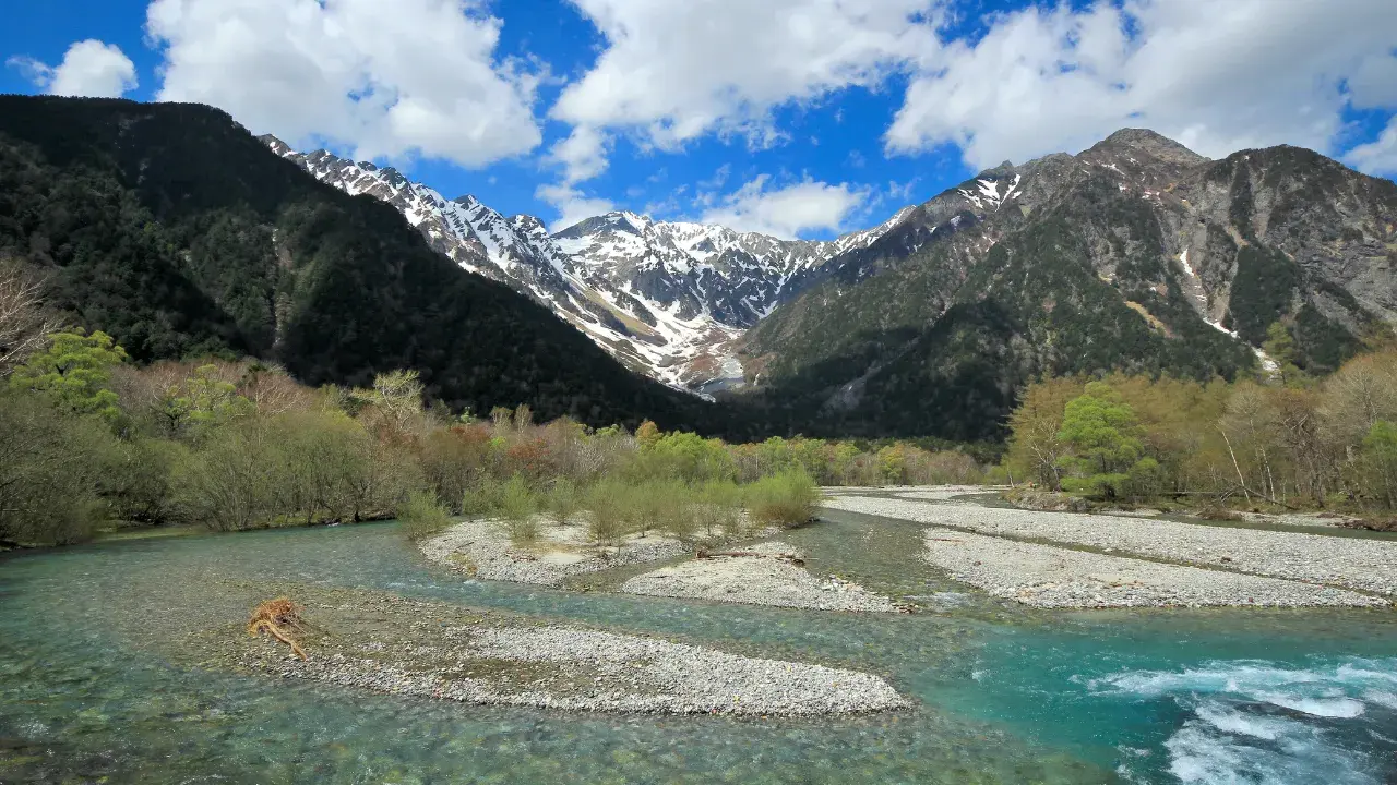 9-May-19-2025-11-54-05-0982-PM