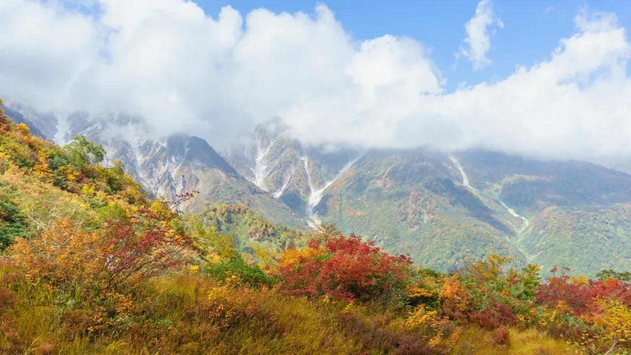 6-Jun-08-2026-12-15-27-3797-AM