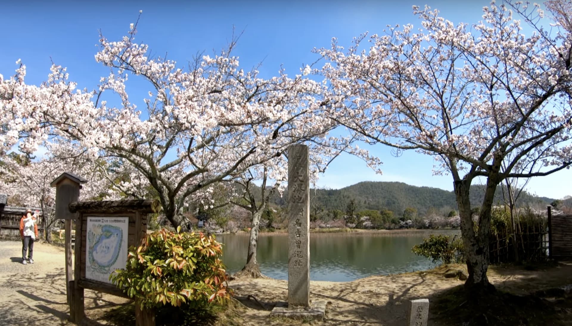 スクリーンショット 2026-01-18 22.05.35