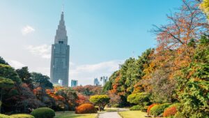 신주쿠교엔에 대하여｜역사와 개요를 자세히 해설