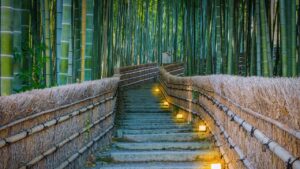 Arashiyama Bamboo Grove: History and Highlights Explained