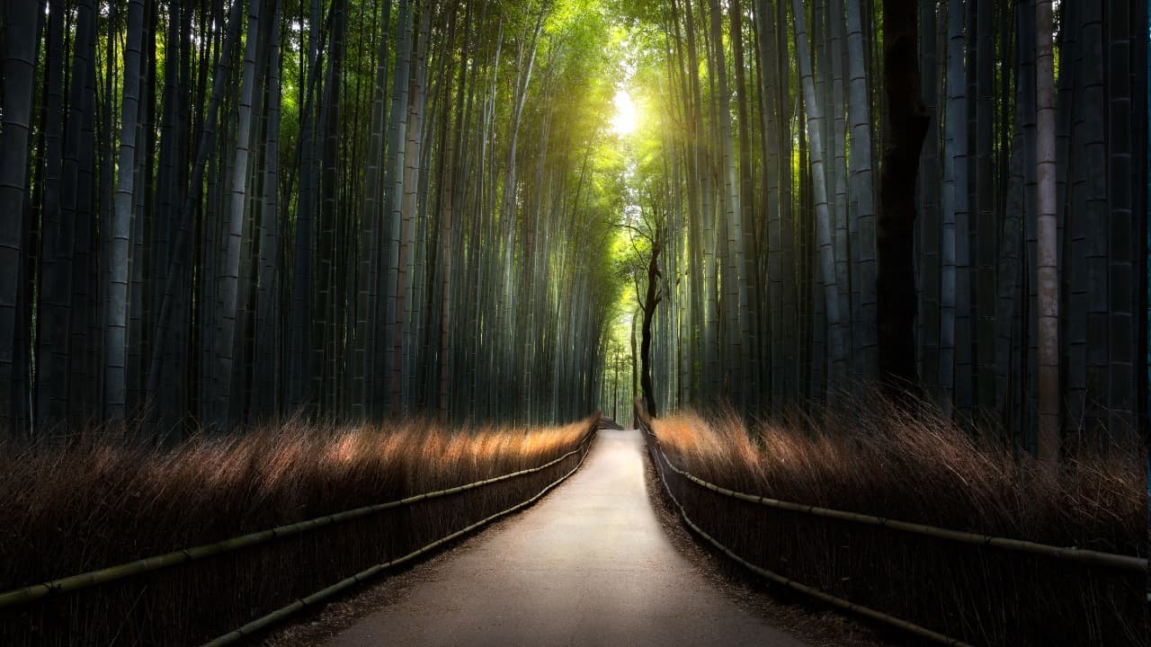 弁天堂 (54)-Dec-22-2024-01-47-01-8438-AM