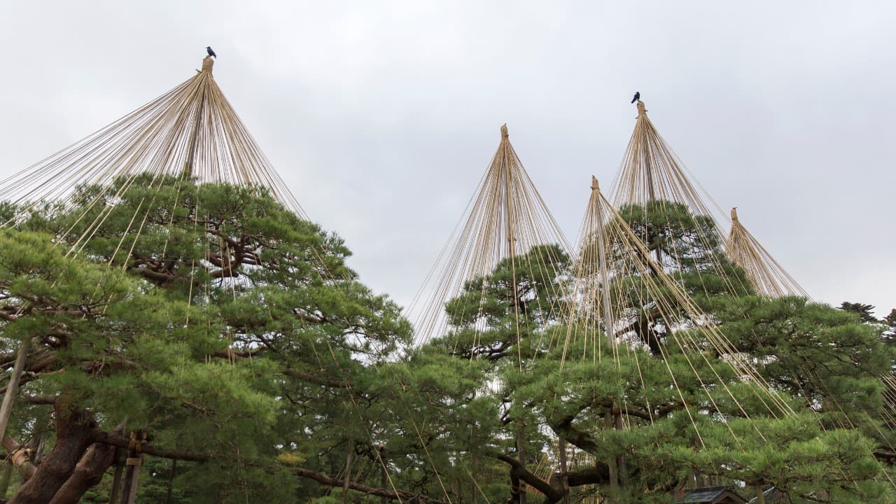 弁天堂 (12)-Dec-17-2024-11-57-18-3155-AM