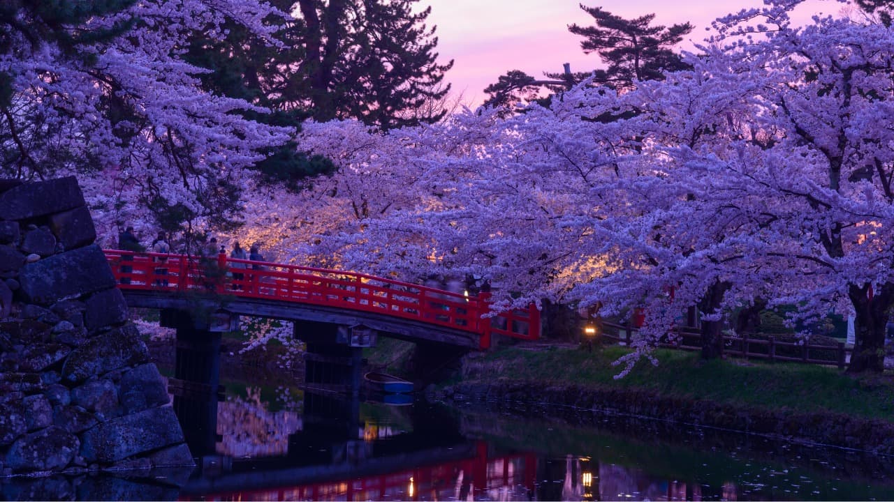 6-Mar-15-2025-05-31-05-1317-AM