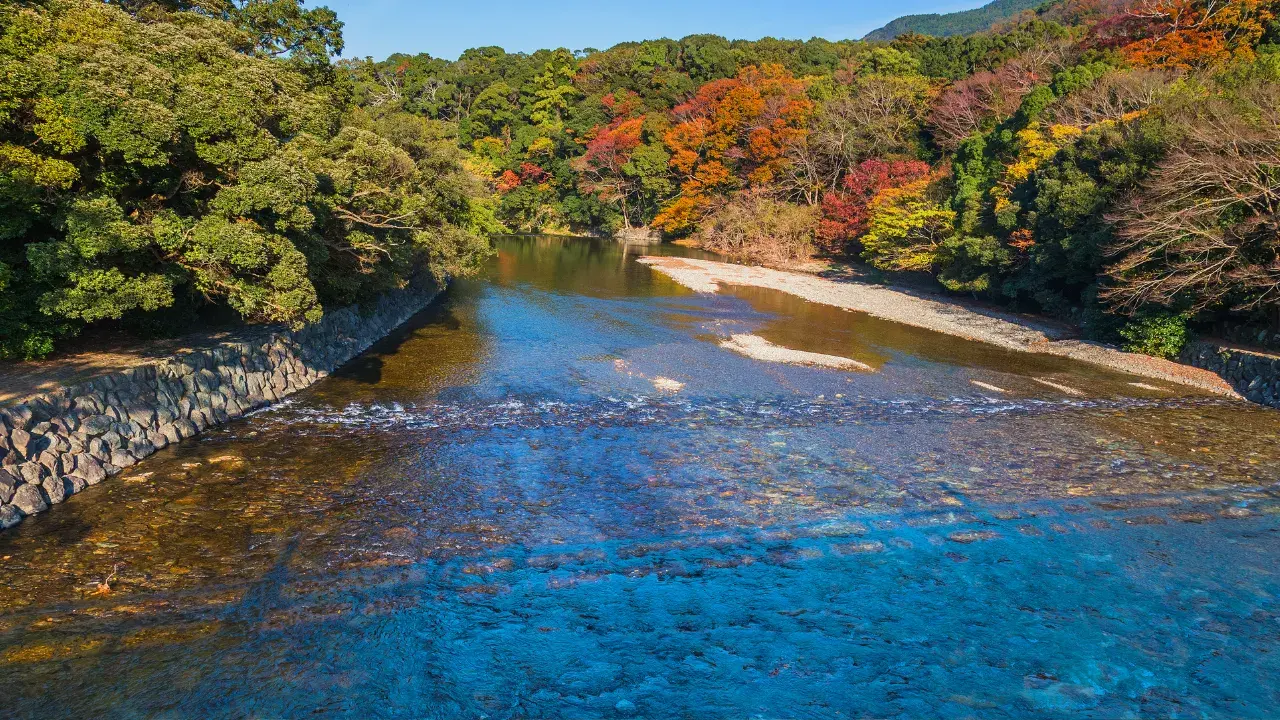 【이세진구 × 일본술】술창고 순회로 토속주를 만끽! 이세와 일본술을 만끽하는 여행