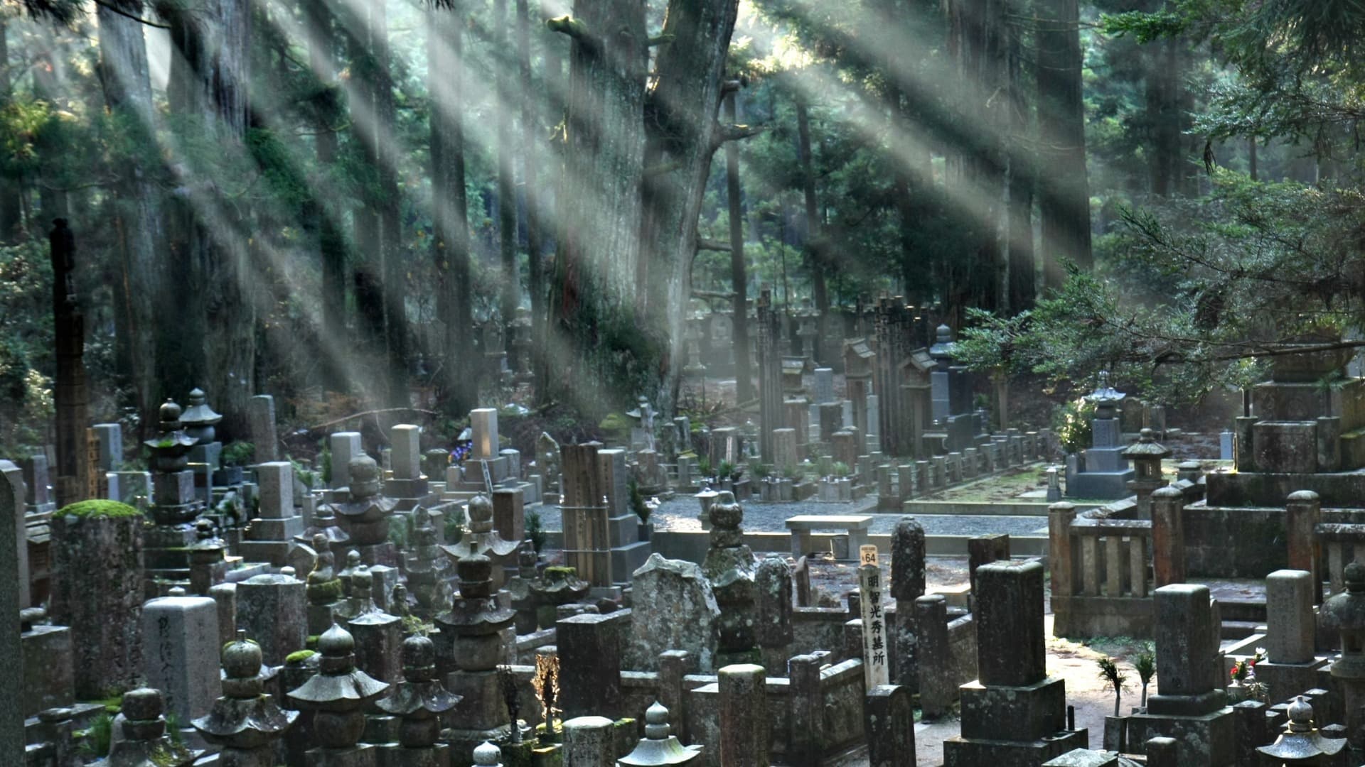 弁天堂 (34)-Sep-23-2024-05-52-34-0914-AM