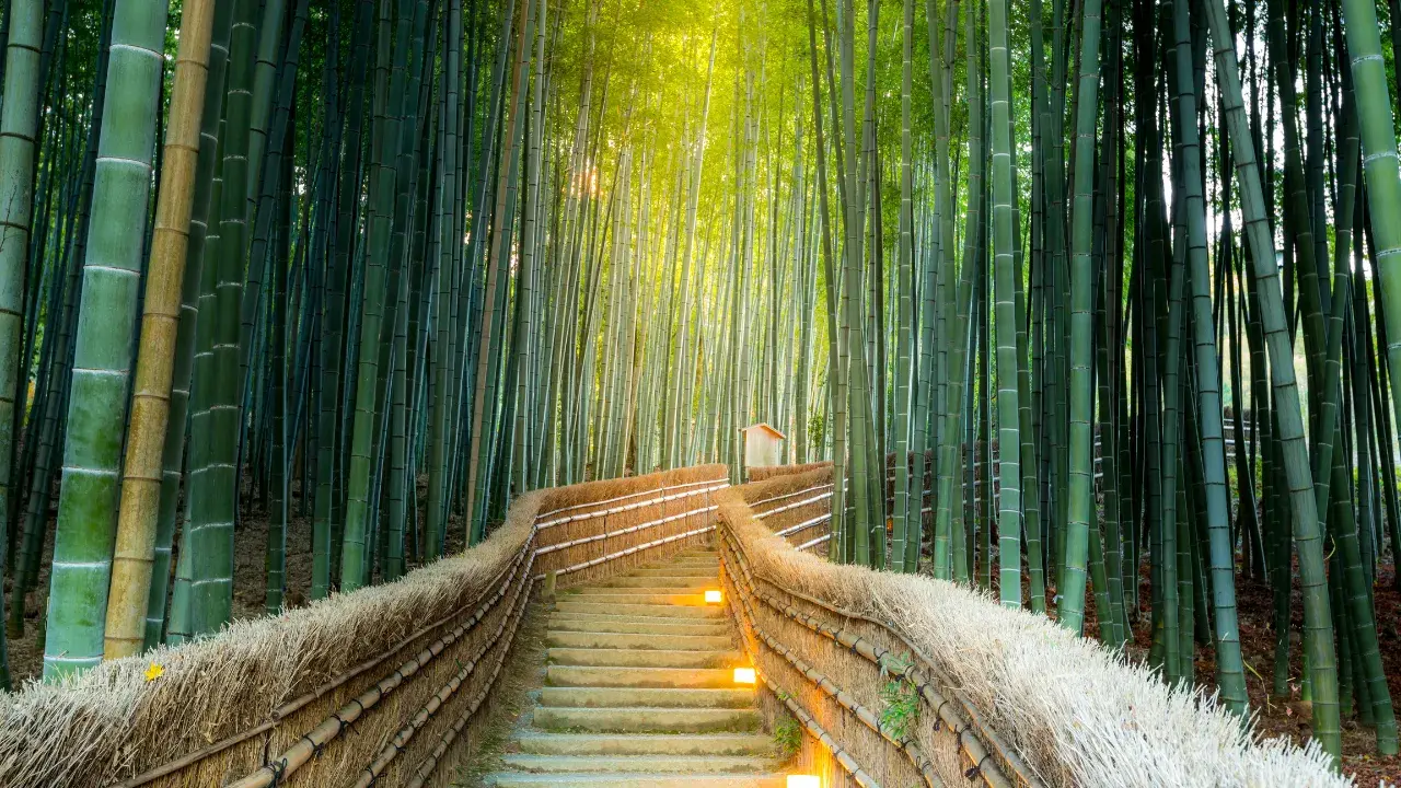 2-Apr-08-2026-08-13-52-1406-AM