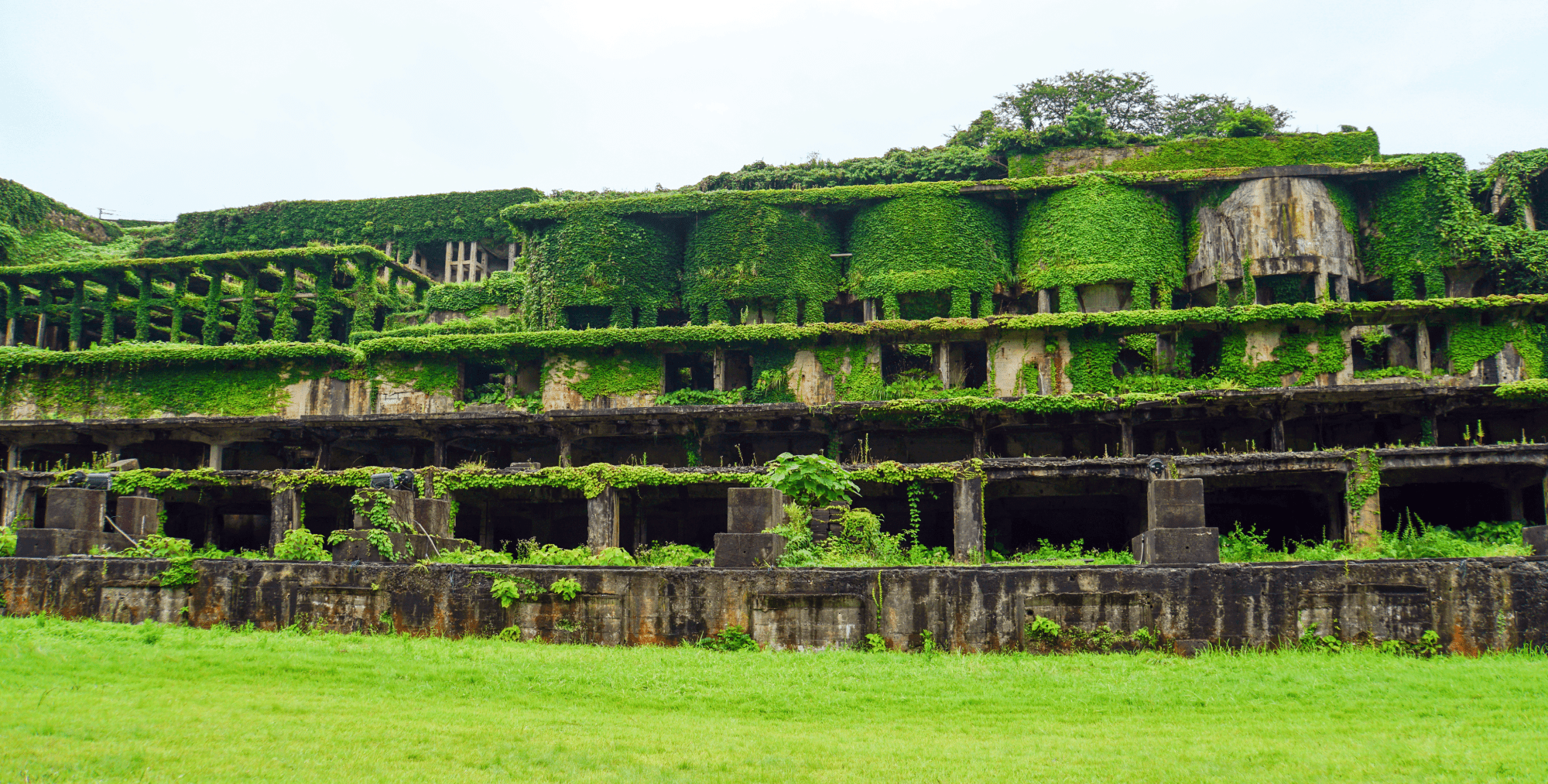 AdobeStock_389329414