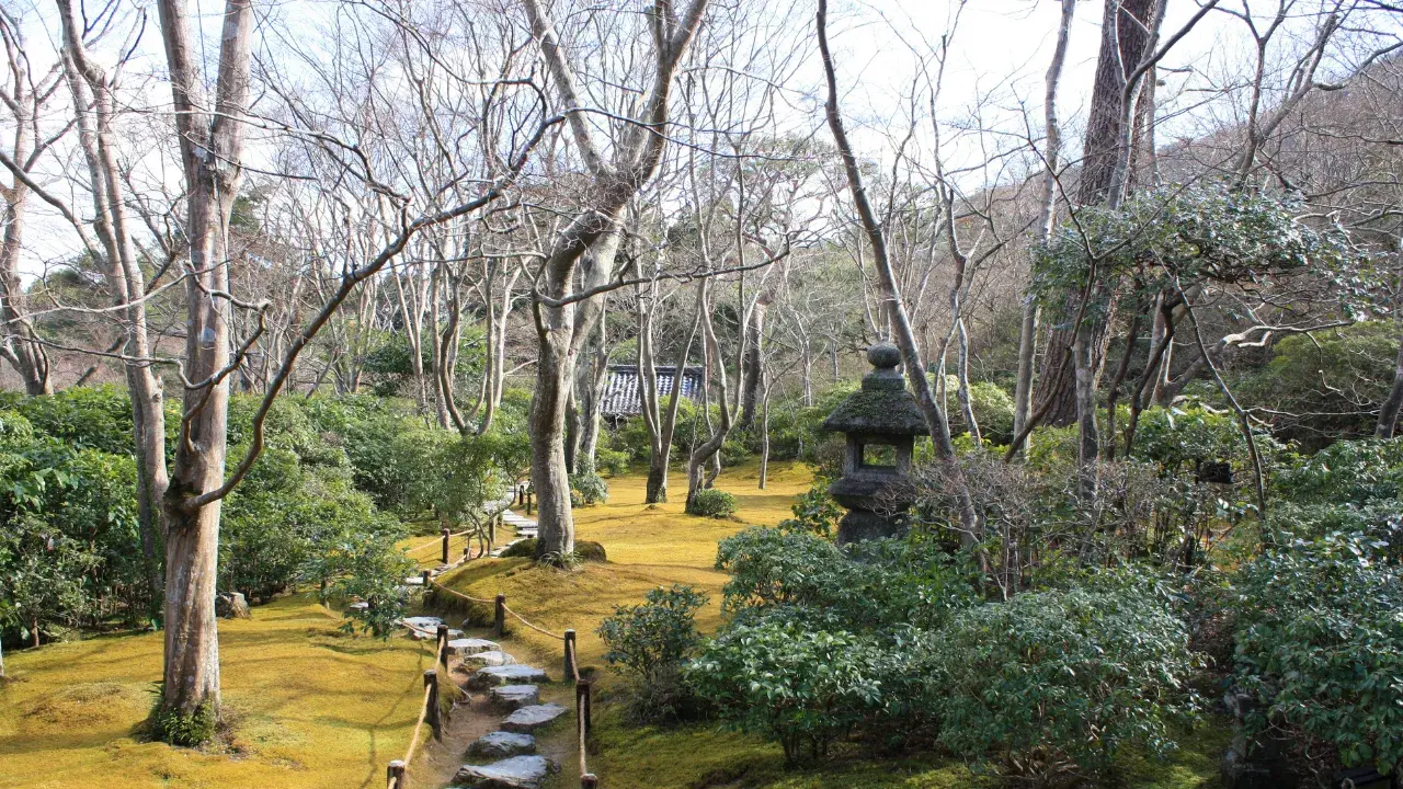 6-Apr-09-2026-06-56-38-4695-AM