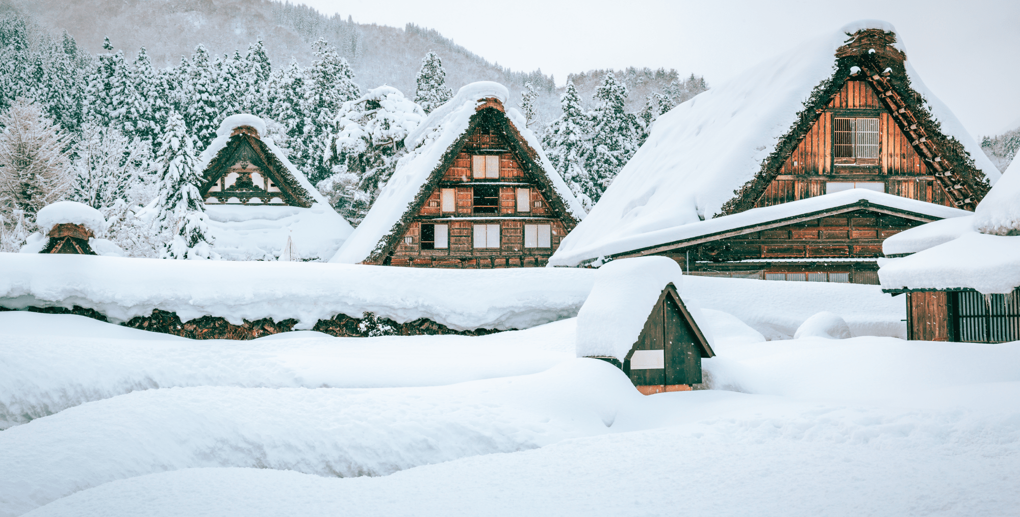 AdobeStock_300116843