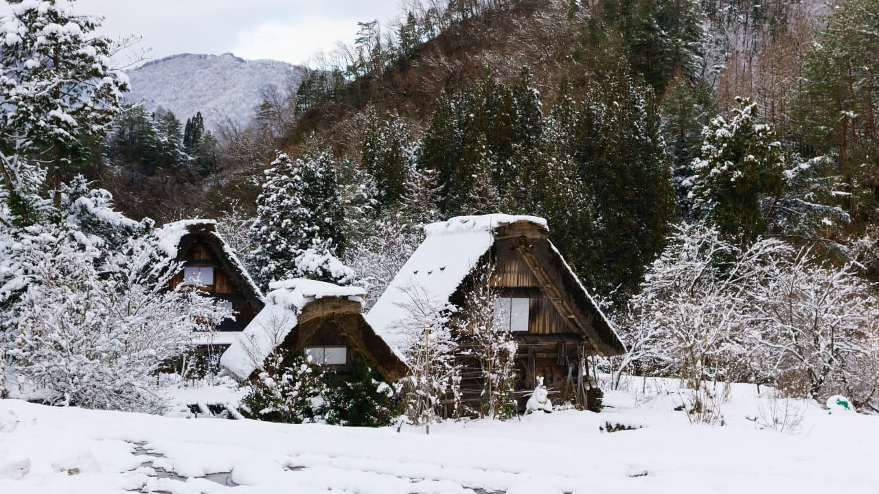 弁天堂 (28)-Jan-13-2026-10-49-58-1417-PM