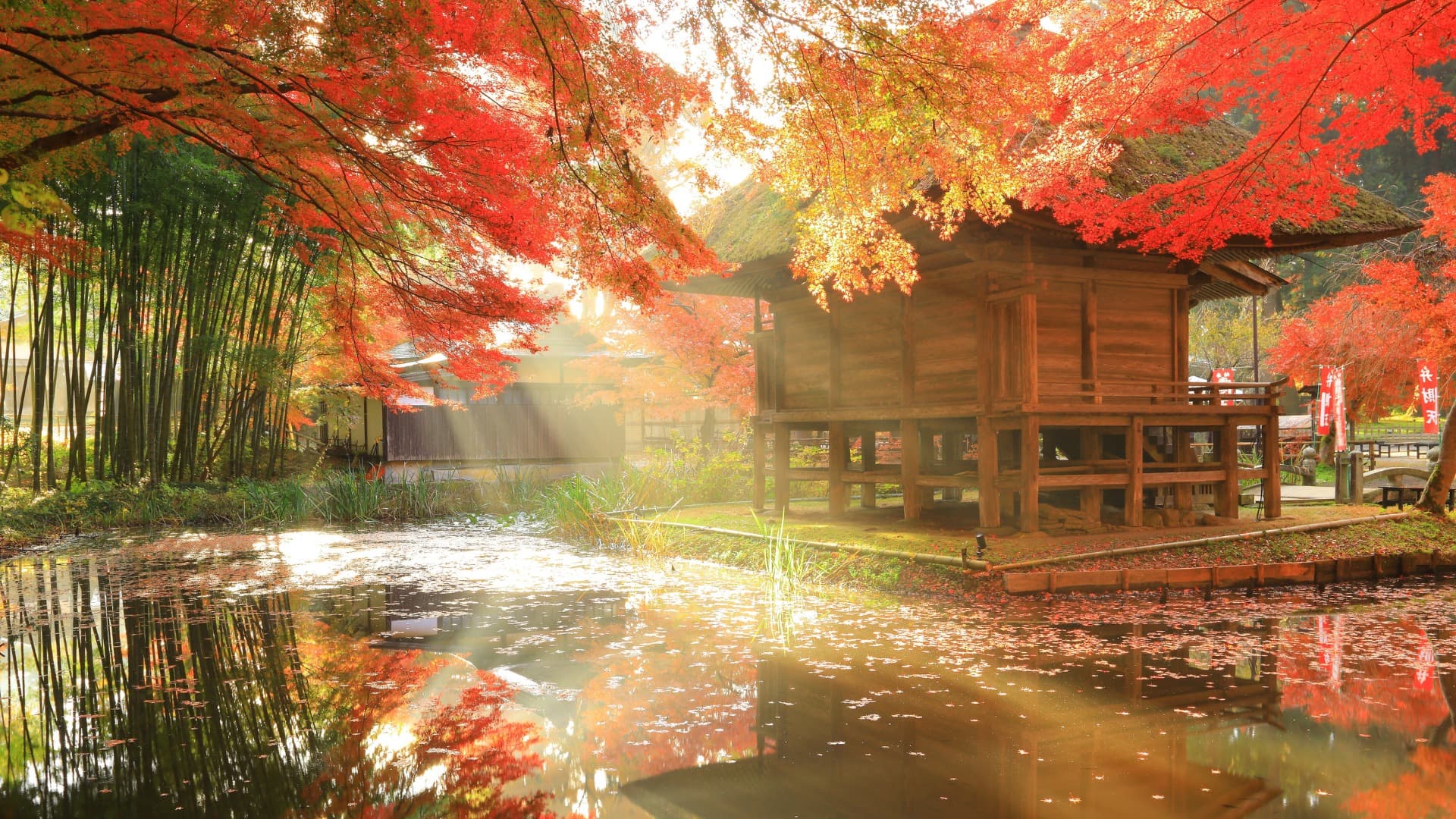 2-Feb-17-2025-11-26-14-8528-PM